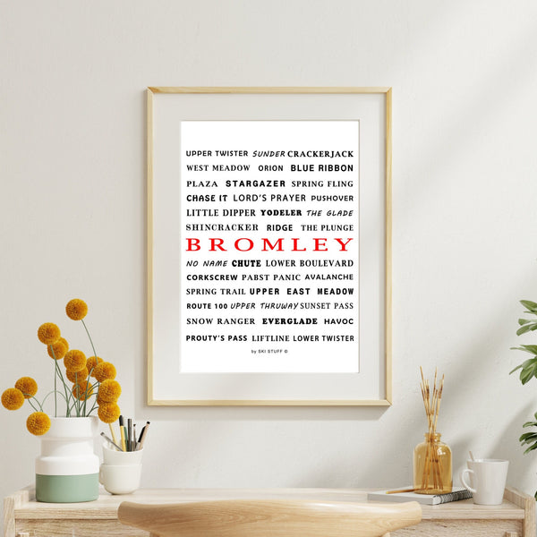 Bromley Vermont Ski Resort Trail Names Poster - Digital Download